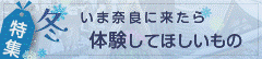 冬　いま奈良に来たら体験してほしいもの